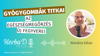 Gyógygombák titkai: Az egészségmegőrzés új fegyverei