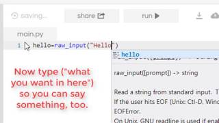 How to do raw input in Python