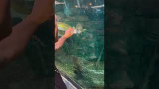 How to TEST YOUR LURES in Bass Pro 😂