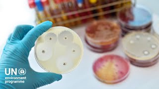 AMR: An urgent threat to life as we know it