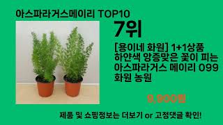 아스파라거스메이리 쿠팡에서 꼭 사야 할 아이템 BEST 10