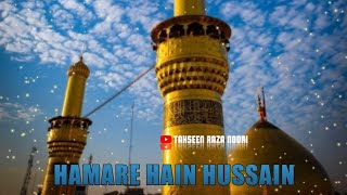 Hamare Hain Hussain Status || Hafiz Tahir Qadri Hamare Hain Hussain || New Muharram Kalam Status