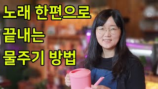 물주기 노래(이제 물주기 고민하지 마세요.)