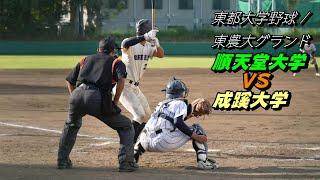 応援！【順天堂大学VS成蹊大学】東都大学野球秋季3部リーグ戦第2回戦 東京農業大学グランド 2023/10/07