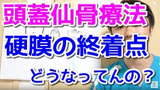 頭蓋仙骨療法　硬膜の終着点の構造