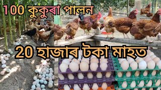 মাহত ইনকাম 20 হাজাৰ টকা । Leyar Poultry Fram । Rhode Island red । Rir Poultry farming