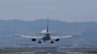 千里川土手 ANA Boeing 737-500 飛行機 着陸 垂直フォロー撮影