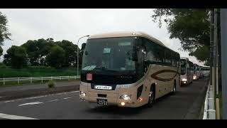 ヤサカ観光(大阪府)神姫(兵庫県姫路市)　ウエストコースト(東京都)　神姫(兵庫県神戸市)　堀川観光(福岡県)