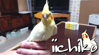 25年間ずっと飼い主が大好き！