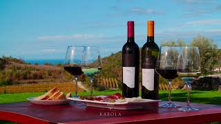 Kabola Winery from Croatia