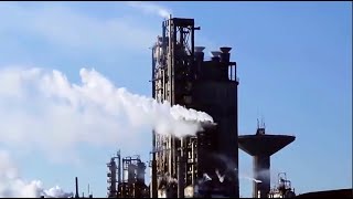 The Code of Catalysts: Composition and Key Roles Revealed