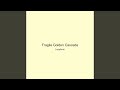 Fragile Golden Cascade
