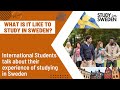 Chat with INTERNATIONAL STUDENTS of SWEDEN UNIVERSITIES | STUDY ABROAD| Student life in Sweden