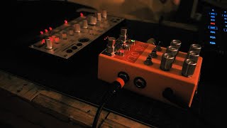 Chase Bliss Mood + Korg Volca Bass