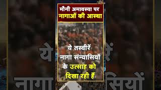 Mahakumbh में Naga Sadhu की भव्य-दिव्य तस्वीरें | Prayagraj | Allahabad | Hindi News | #shorts