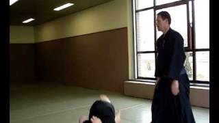 Hakko Denshin Ryu Ju-jutsu - 八光伝心流柔術