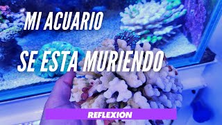 📌Mi acuario se muere🤦‍♂️