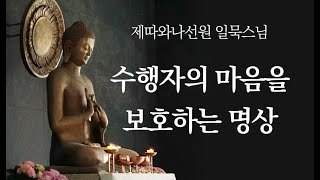 수행자의 마음을 보호하는 명상ㅣ일묵스님ㅣ제따와나선원 2024.05.05 일요정기법회