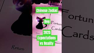 Dog - Chinese Zodiac. 2025 Expectations vs Reality. Cat - Return