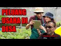 Peluang usaha di desa PELUANG USAHA DI DESA | Handoko Tantra