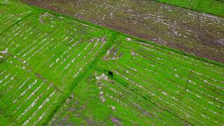 Beauty of Rural Sri Lankan Villages