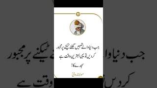 molana rumi quotes in urdu #please_subscribe_my_channel #ytshorts #viral #shorts