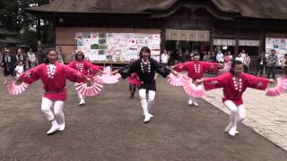 舞すずめ　どんとロード八幡仙臺雀踊り2015