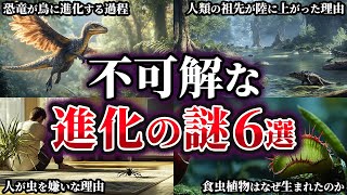 【ゆっくり解説】真相が気になる不可解な進化の謎6選