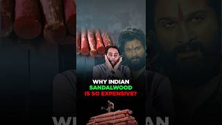 Why Indian Sandalwood Is So Expensive? | #ganeshnayak #shorts