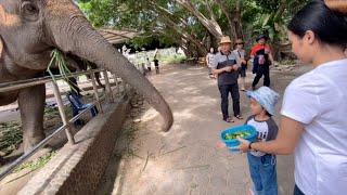 น้องสายน้ำ |เที่ยวอุทยานหินล้านปีและฟาร์มจระเข้ ที่พัทยา