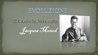 EVOLUZIONE || Il Caso e la Necessità - J. Monod -Ep.11-