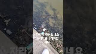 생태계생생생(환경오염의심각성 자라편)