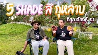 5 Shade สีกุหลาบที่คุณต้องรู้ !!!