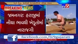 Jamnagar: Farmers disappointed for not getting fair prices of Groundnut production during auction