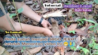 TOTORIAL HUSUS UNTUK MENJERAT HAMA BABI HUTAN @Caramembuatjebakan