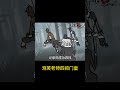 【第五人格 identity v】泡芙老师四抓门皇 游戏 identityv 操作精華 shorts