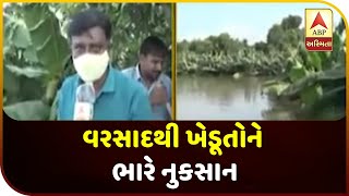 Water Released From The Narmada Dam Flooded The Fields Of Kangraj, Sisodra Village | ABP Asmita