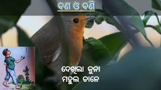 Bana o bani odia poem | class 3, ବଣ ଓ ବଣି