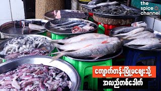 Morning Market in Myanmar: Kyauktan, Yangon / ကျောက်တန်း မြို့မဈေး