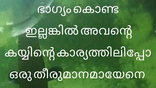 ആദ്യം കയ്യിട്ട് ഇതിനെ അടുത്ത് വിളിക്കാം എന്ന് കരുതിയതാ  മീനിനെ കടിച്ചത് കണ്ടപ്പോൾ ആ പ്ലാൻ മാറ്റി