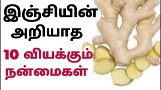 Ginger benefits in tamil| இஞ்சி பயன்கள்| inji benefits tamil| தலைவலி பித்தம் குறைய|வாயு தொல்லை நீங்க