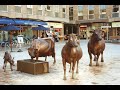 La Vaque dé Jèrri - linda escultura que traduz o amor e o orgulho pela raça Jersey!