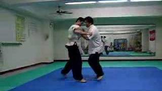 妙空導引武術古傳陳式太極-太極跤Taichi wrestling (Chinese Style)