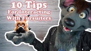 10 Tips for Interacting with Fursuiters!