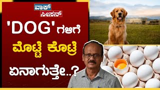 ನಾಯಿಗಳಿಗೆ ಈ ರೋಗ ಬಂದ್ರೆ ಉಳಿಯೋದು ತುಂಬಾ ಕಷ್ಟ..! |Dog care | Dog Decease | GSS MAADHYAMA