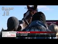 woodbine tbred november 2 2024 race 5 woodbine horse race replay