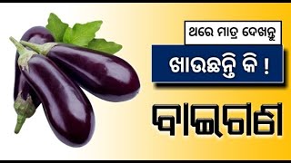 ଖାଉଛନ୍ତି କି ( ବାଇଗଣ ) – ଥରେ ମାତ୍ର ଦେଖନ୍ତୁ|Bringel Benifits|Odia Health Tips