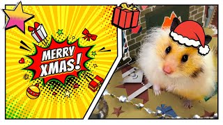 🎁🎅 Awesome 🎄 Christmas maze for cute 🐹 hamster with traps - 4 levels.