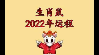 生肖鼠2022年总体运势