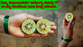 #lemontipsಪದೇ ಪದೇ ಆರೋಗ್ಯ ಸಮಸ್ಯೆಯಿಂದ ಬಳಲುತಿದ್ದರೆ ಇಲ್ಲಿದೆ ಸರಳ ಪರಿಹಾರ/remedy for health related problem